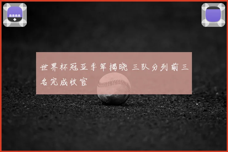 世界杯冠亚季军揭晓 三队分列前三名完成收官